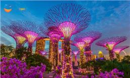 Tour Du Lịch Malaysia - Singapore Hàng Không VietNam Airlines 2025